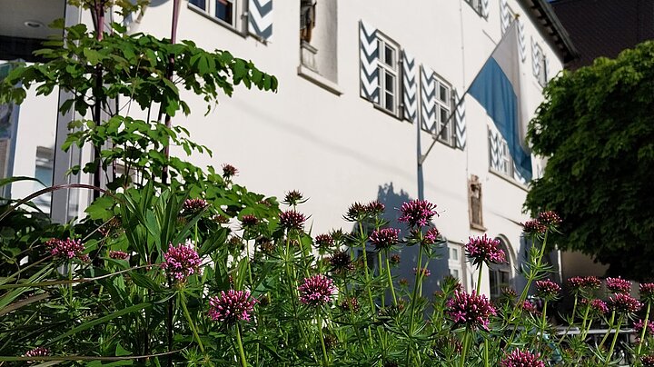 Rathaus Seitenansicht