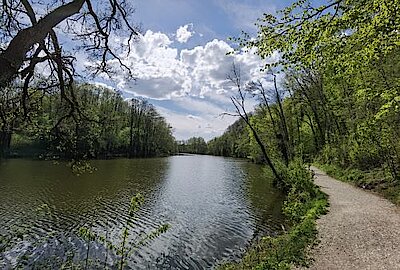 Langweiher