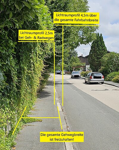 Heckenschnitt Gehweg