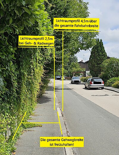 Heckenschnitt Gehweg